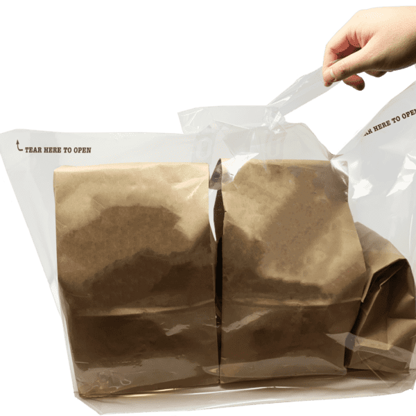 A person holding onto some paper bags