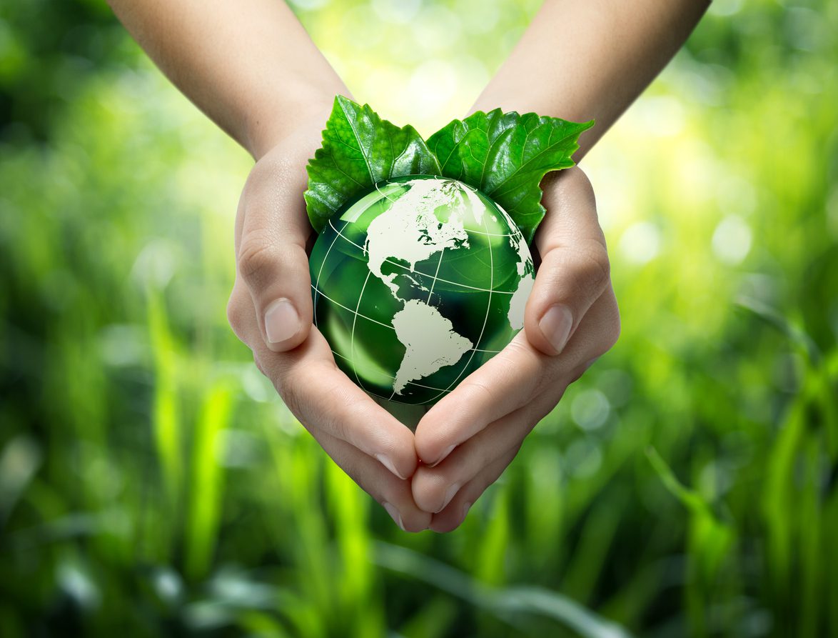 Hands holding green globe with grassy background planet in your hands - usa
